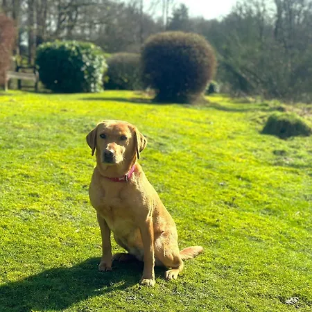 1 Bed In Near And Far Sawrey 74342 *